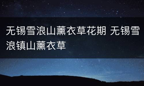 无锡雪浪山薰衣草花期 无锡雪浪镇山薰衣草