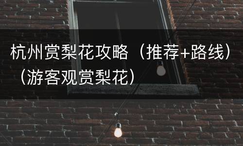 杭州赏梨花攻略（推荐+路线）（游客观赏梨花）