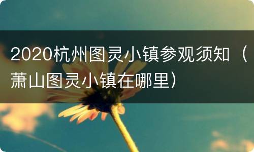 2020杭州图灵小镇参观须知（萧山图灵小镇在哪里）
