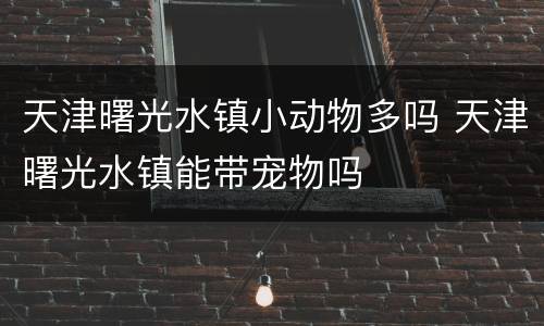 天津曙光水镇小动物多吗 天津曙光水镇能带宠物吗