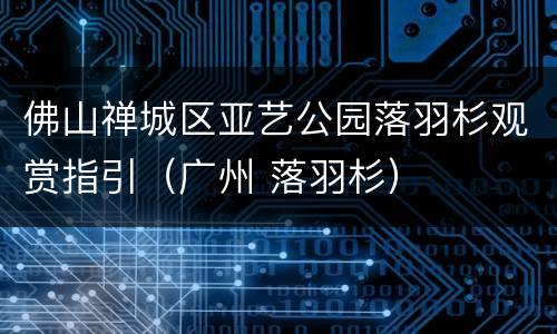 佛山禅城区亚艺公园落羽杉观赏指引（广州 落羽杉）
