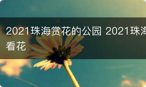 2021珠海赏花的公园 2021珠海看花