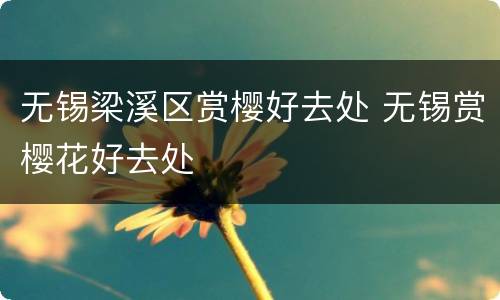 无锡梁溪区赏樱好去处 无锡赏樱花好去处
