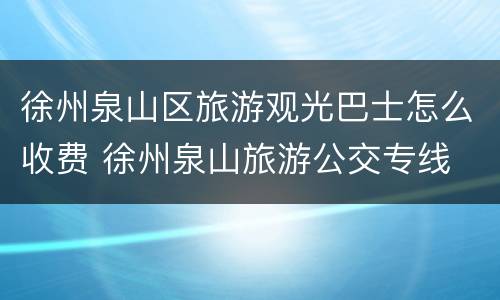 徐州泉山区旅游观光巴士怎么收费 徐州泉山旅游公交专线