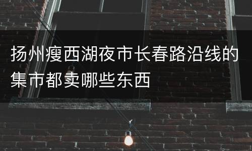 扬州瘦西湖夜市长春路沿线的集市都卖哪些东西