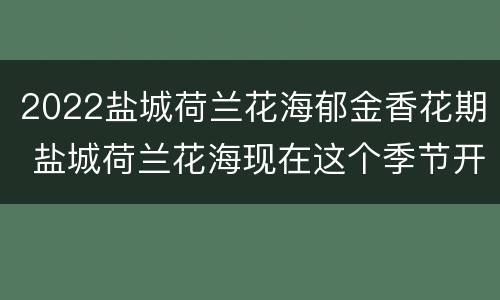 2022盐城荷兰花海郁金香花期 盐城荷兰花海现在这个季节开放吗