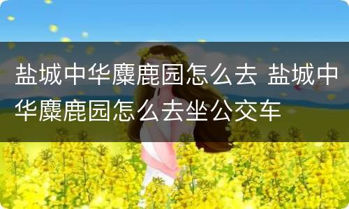盐城中华麋鹿园怎么去 盐城中华麋鹿园怎么去坐公交车