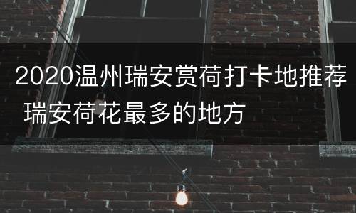 2020温州瑞安赏荷打卡地推荐 瑞安荷花最多的地方