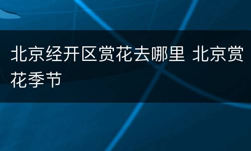 北京经开区赏花去哪里 北京赏花季节