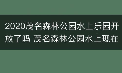 2020茂名森林公园水上乐园开放了吗 茂名森林公园水上现在开放了吗