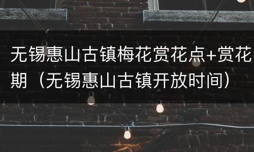 无锡惠山古镇梅花赏花点+赏花期（无锡惠山古镇开放时间）