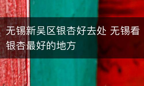 无锡新吴区银杏好去处 无锡看银杏最好的地方