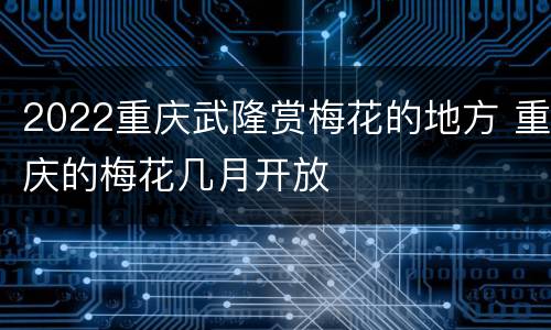 2022重庆武隆赏梅花的地方 重庆的梅花几月开放