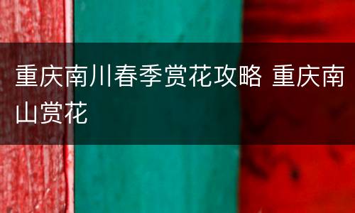 重庆南川春季赏花攻略 重庆南山赏花