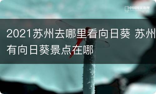2021苏州去哪里看向日葵 苏州有向日葵景点在哪