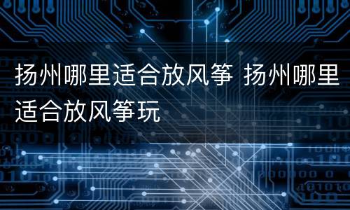 扬州哪里适合放风筝 扬州哪里适合放风筝玩