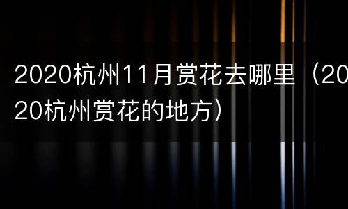 2020杭州11月赏花去哪里（2020杭州赏花的地方）