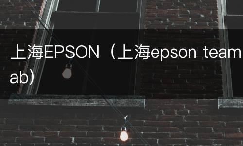 上海EPSON（上海epson teamlab）