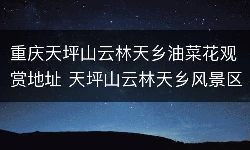 重庆天坪山云林天乡油菜花观赏地址 天坪山云林天乡风景区