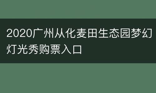 2020广州从化麦田生态园梦幻灯光秀购票入口