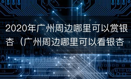 2020年广州周边哪里可以赏银杏（广州周边哪里可以看银杏）
