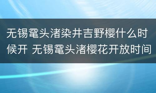无锡鼋头渚染井吉野樱什么时候开 无锡鼋头渚樱花开放时间
