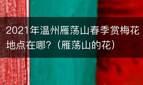2021年温州雁荡山春季赏梅花地点在哪?（雁荡山的花）