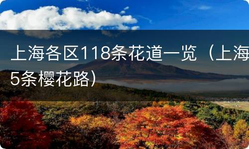 上海各区118条花道一览（上海5条樱花路）