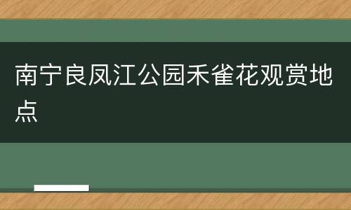 南宁良凤江公园禾雀花观赏地点