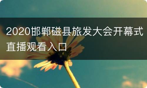 2020邯郸磁县旅发大会开幕式直播观看入口