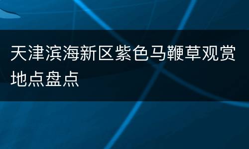 天津滨海新区紫色马鞭草观赏地点盘点