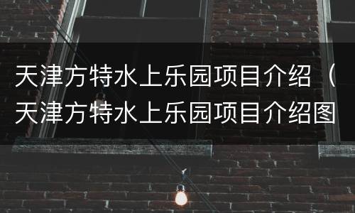 天津方特水上乐园项目介绍（天津方特水上乐园项目介绍图片）