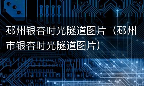 邳州银杏时光隧道图片（邳州市银杏时光隧道图片）