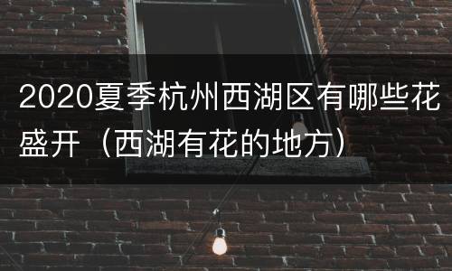 2020夏季杭州西湖区有哪些花盛开（西湖有花的地方）
