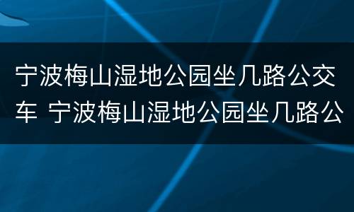 宁波梅山湿地公园坐几路公交车 宁波梅山湿地公园坐几路公交车到