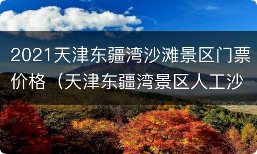 2021天津东疆湾沙滩景区门票价格（天津东疆湾景区人工沙滩门票多少钱）