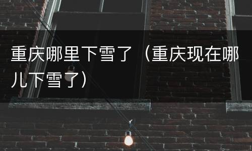 重庆哪里下雪了（重庆现在哪儿下雪了）