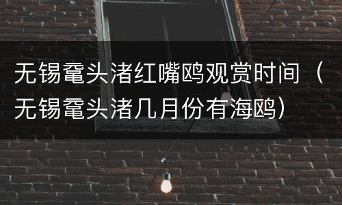 无锡鼋头渚红嘴鸥观赏时间（无锡鼋头渚几月份有海鸥）