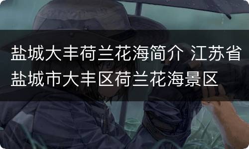 盐城大丰荷兰花海简介 江苏省盐城市大丰区荷兰花海景区