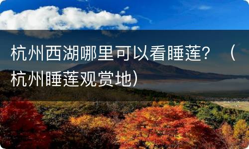 杭州西湖哪里可以看睡莲？（杭州睡莲观赏地）