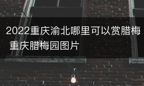 2022重庆渝北哪里可以赏腊梅 重庆腊梅园图片