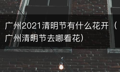 广州2021清明节有什么花开（广州清明节去哪看花）