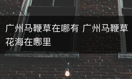 广州马鞭草在哪有 广州马鞭草花海在哪里