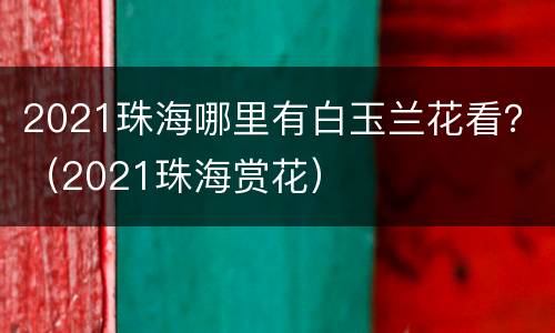 2021珠海哪里有白玉兰花看？（2021珠海赏花）