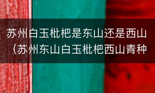 苏州白玉枇杷是东山还是西山（苏州东山白玉枇杷西山青种）