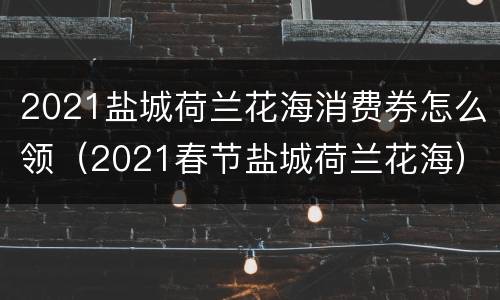 2021盐城荷兰花海消费券怎么领（2021春节盐城荷兰花海）