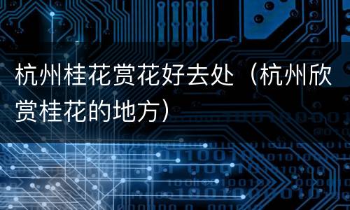 杭州桂花赏花好去处（杭州欣赏桂花的地方）