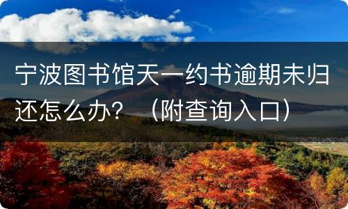 宁波图书馆天一约书逾期未归还怎么办？（附查询入口）