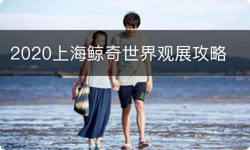 2020上海鲸奇世界观展攻略