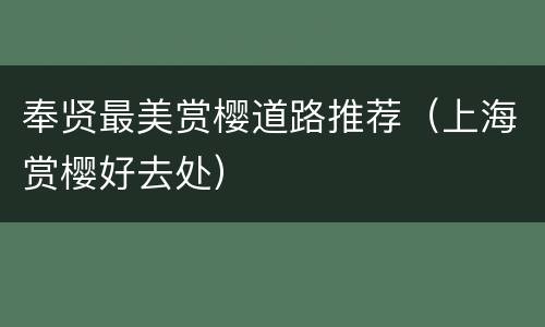 奉贤最美赏樱道路推荐（上海赏樱好去处）